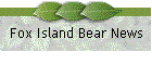 Fox Island Bear News