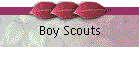 Boy Scouts