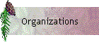 Organizations