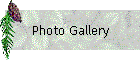 Photo Gallery