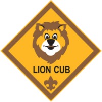 Lion Cubs in Gig Harbor & Fox Island