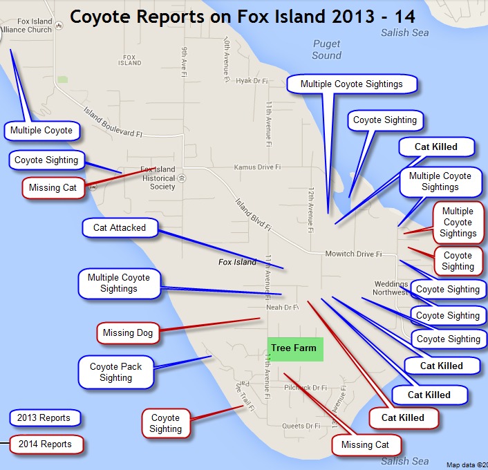 Coyote Report Map of Fox Island