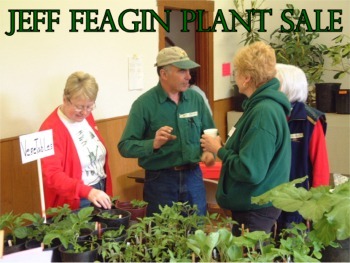 Annual Jeff Feagin Memorial Plant Sale