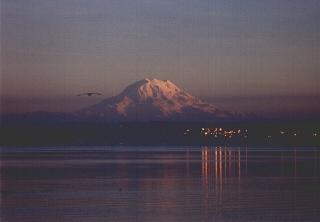 Mt. Rainier Sunset