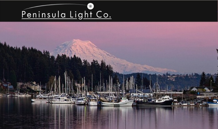 Peninsula Light Company