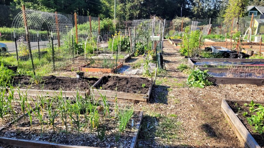 Fox Island Community Garden