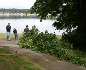 Click for larger image