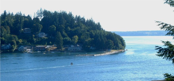 Click for larger image